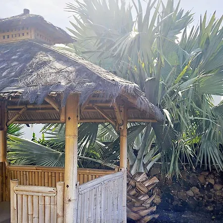 بيت ضيافة Maar House